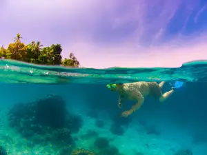 Niugini Dive Adventures