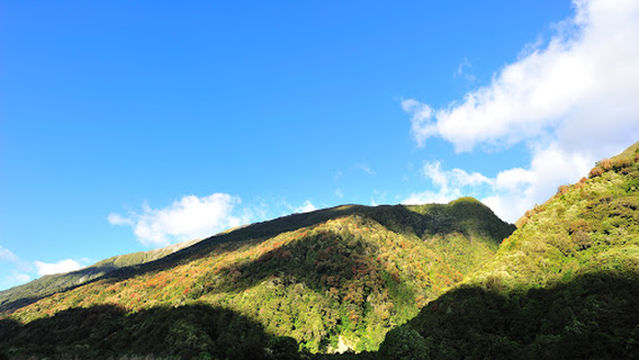 Avalanche Creek Shelter
