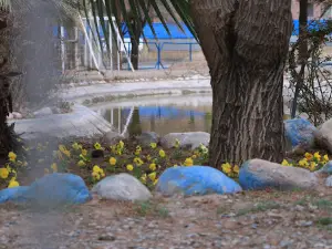 Shahid Motahari Park