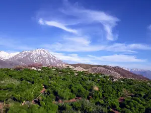 Süngü Hill