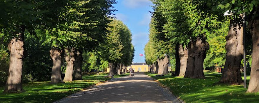 Søndermarken