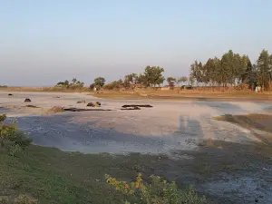 Matarbari Sea Beach