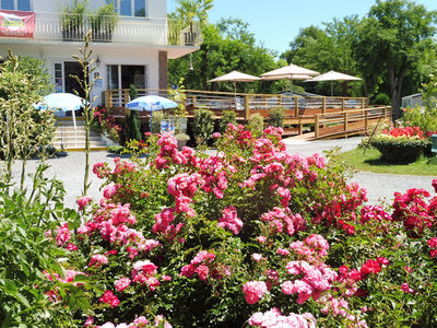 Camping acacias