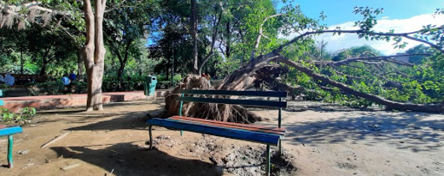 District Park