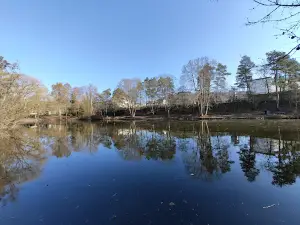Merziger Tierpark