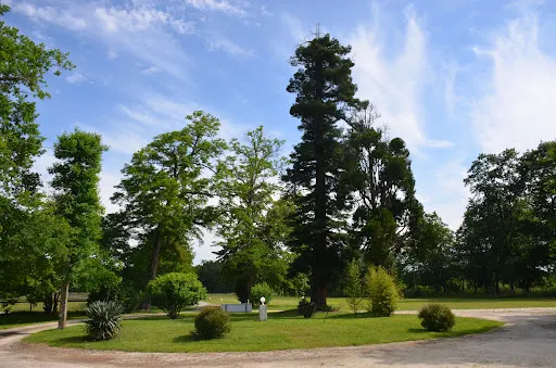 聖奧班德梅多克