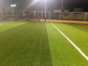 Reinas Park