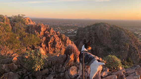 Dinosaur Mountain