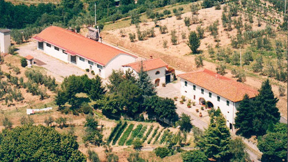 Frantoio Pasquini A. snc