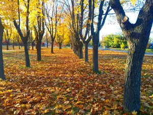 Shevchenko Park
