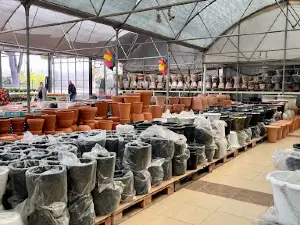 Nema Garden Center