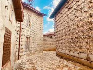Ormana Düğmeli Evler