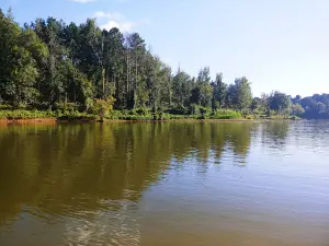 Piney Point Park