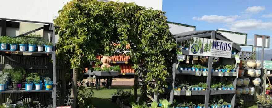 Stodels Garden Centre - Somerset West