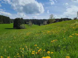 Blindensee