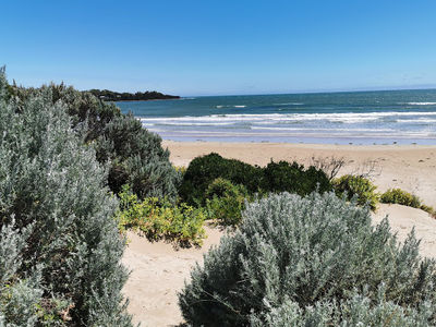 Greens Beach Golf Club