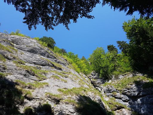 Izbucul Tăuzului