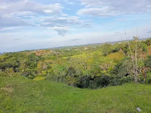 Camilo Torres Park