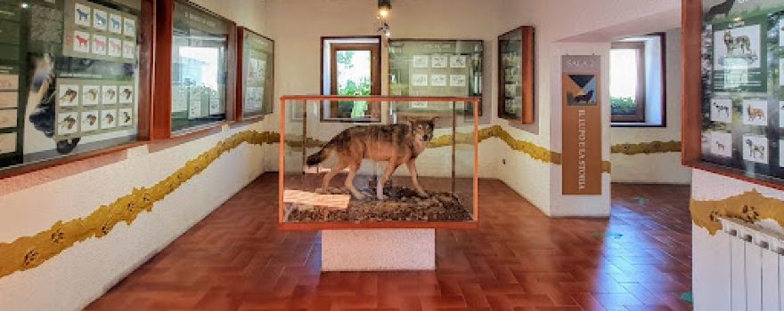 Museo del lupo Appenninico
