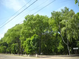 Park Slavy