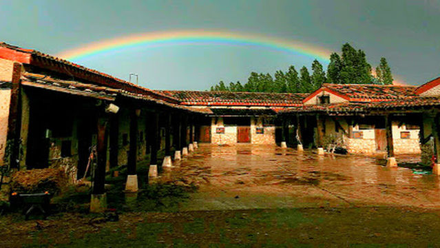 Horse Riding La Galinda