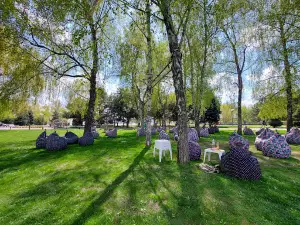 Park Sahaydak
