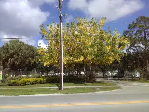 Immokalee Community Park