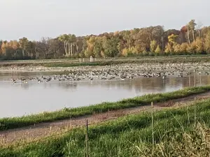 Парк Рейнк
