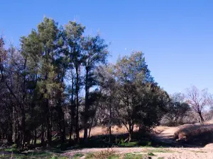 Yarrowyck Crossing Reserve