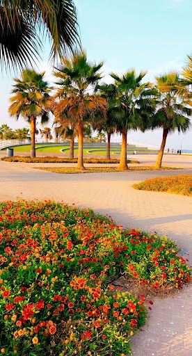Dammam Corniche - Boats Dock