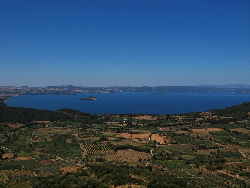 Camping Pineta