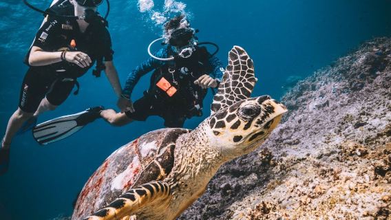 DPM Diving Gili Air