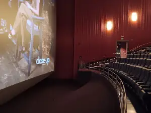 Cinemark Seven Bridges and IMAX