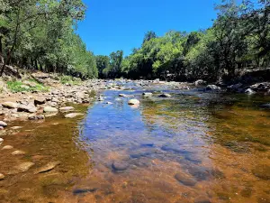 Balneario Los Cedros
