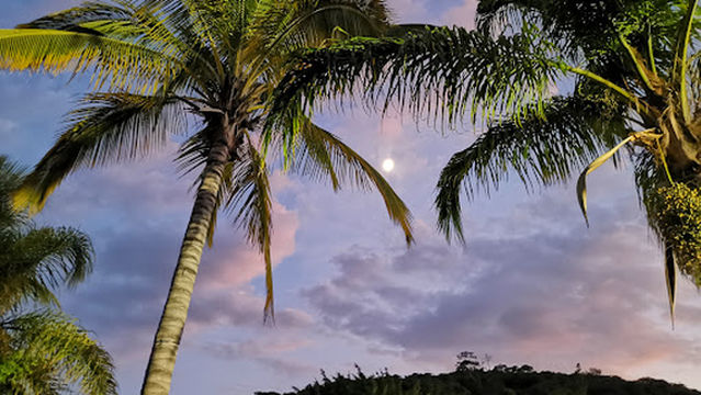 San Carlos Water Park