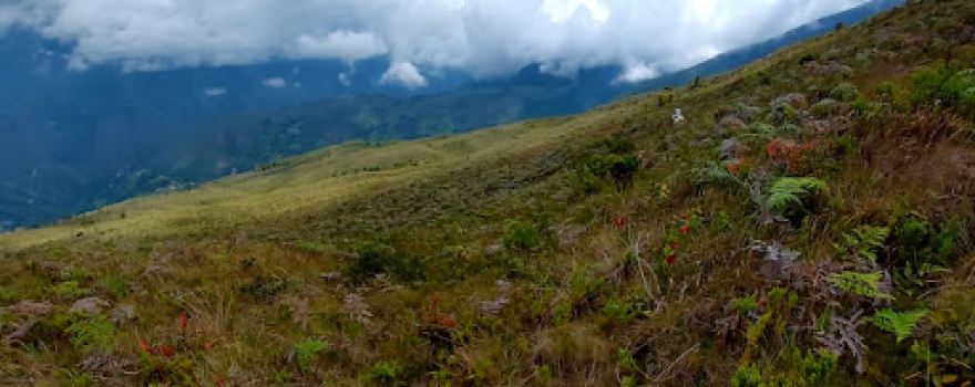 Altogrande Estaquecá