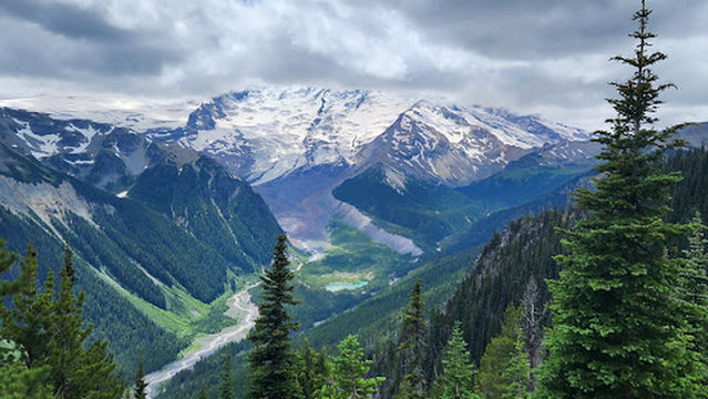 Ohanapecosh Campground