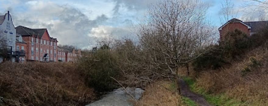 River Croco