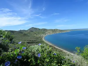 Magdalena Bay Island Glamping