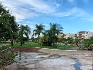 Square Ceci Cunha