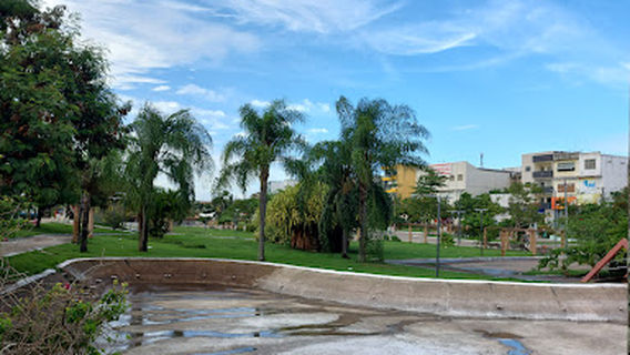 Square Ceci Cunha