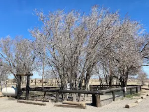Lalo's Dog Park