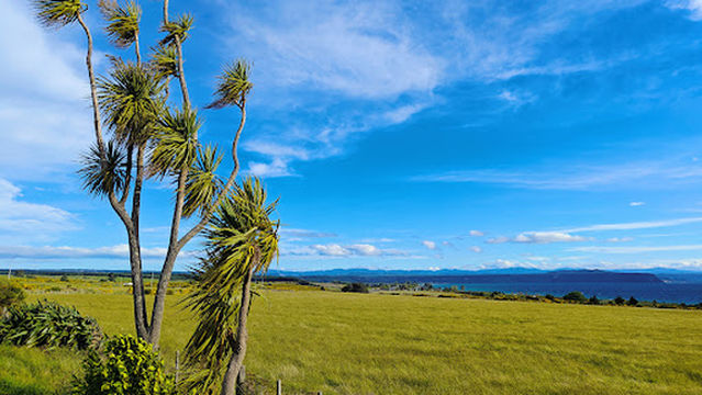 Lake Taupo Scenic Lookout