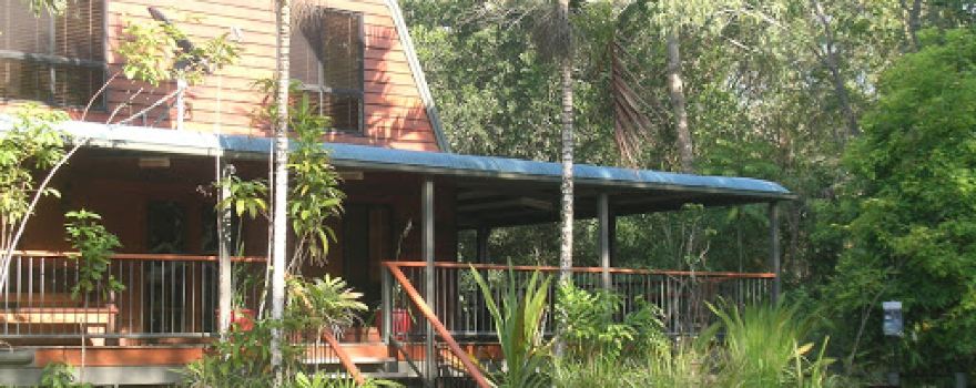 Black Cockatoo Gallery