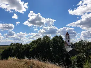 Grodzisko zw. Górą Królowej Bony