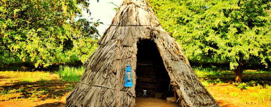 Chinch Visava Agrotourism
