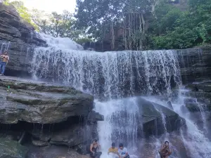 Pura Panariya