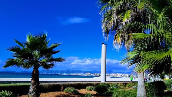 Palma De Mallorca