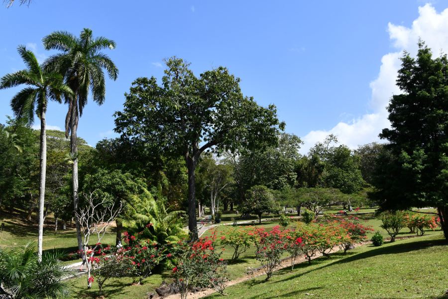 Vé máy bay Luân Đôn Port Of Spain