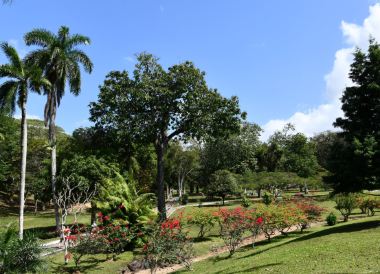 Port Of Spain